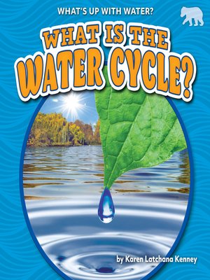 cover image of What Is the Water Cycle?